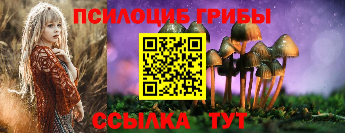 Псилоцибиновые грибы GOLDEN TEACHER  где можно купить   Вход с VPN  Балтийск  Псилоцибиновые грибы Magic Shrooms 